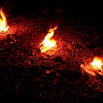 25341755_v1311933916